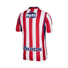 Nike Chivas M Nk Dfadv Jsy Ss Match Hm image number null