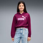 Puma Ess 2 Color No 1 Logo Short Length Hoodie Tr G image number null
