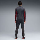 Puma Individual Liga Tracksuit image number null