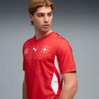 Puma Sfv Home Jersey Replica image number null