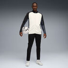 Puma Individual Liga Tracksuit image number null