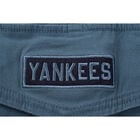 Fexpro Longpant New York Yankees image number null