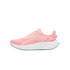 Under Armour W Ascend image number null