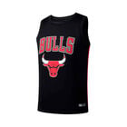 Fexpro Jersey Chicago Bulls image number null