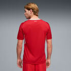 Puma Sfv Home Jersey Replica image number null