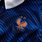 Nike Francia W Nk Df Jsy Ss Stad Hm image number null