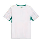Puma Senegal Home Jersey Replica image number null