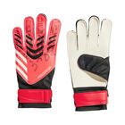 Adidas Guantes De Arquero Predator De Entrenamiento image number null