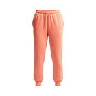 Nike W Nsw Club Flc Mr Pant Std image number null