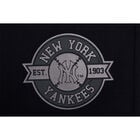 Fexpro Longpant New York Yankees image number null