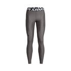 Under Armour Hg Legging Gry image number null