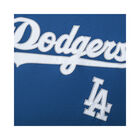 Fexpro Jersey Los Angeles Dodgers image number null