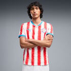 Jersey de F&uacute;tbol Puma Paraguay Local 2026 Replica Hombre image number null