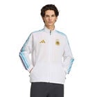 Chamarra Adidas Anthem Argentina 26 Local Hombre image number null