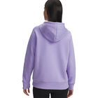 Under Armour Rival Flc Shimmer Hdy image number null