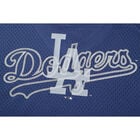 Fexpro Jersey Los Angeles Dodgers image number null