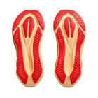 Asics Novablast 5 image number null