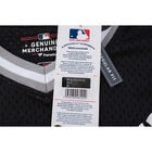 Fexpro Jersey New York Yankees image number null