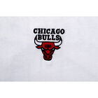 Fexpro Tshirt Chicago Bulls image number null