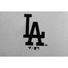 Fexpro Hoodie Los Angeles Dodgers image number null
