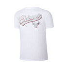 Fexpro Tshirt Chicago Bulls image number null