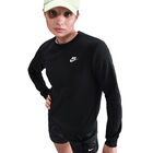 Nike W Nsw Club Flc Crew Std image number null