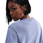 Nike W Nsw Club Flc Crew Std image number null