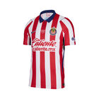Nike Chivas M Nk Dfadv Jsy Ss Match Hm image number null