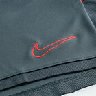 Nike M Nk Df Acd25 Short Kp Br image number null