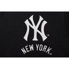 Fexpro Jersey New York Yankees image number null