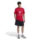 Playera Adidas Selecci&oacute;n Nacional de M&eacute;xico DNA image number null