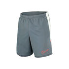 Nike M Nk Df Acd25 Short Kp Br image number null
