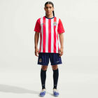 Nike Chivas Mnk Df Jsyss Ftbl Tp Cr Hm image number null