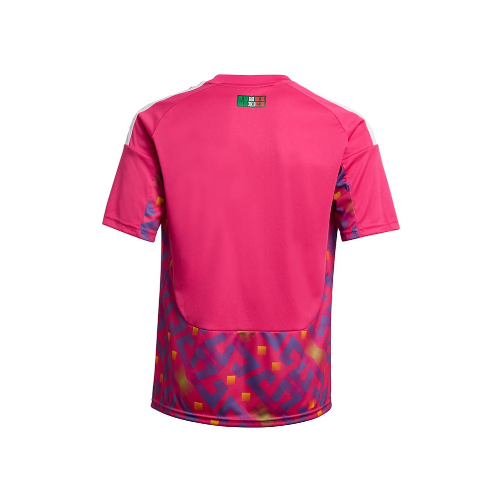 Jersey de Portero Selección Nacional de México Local Niños Rosa 