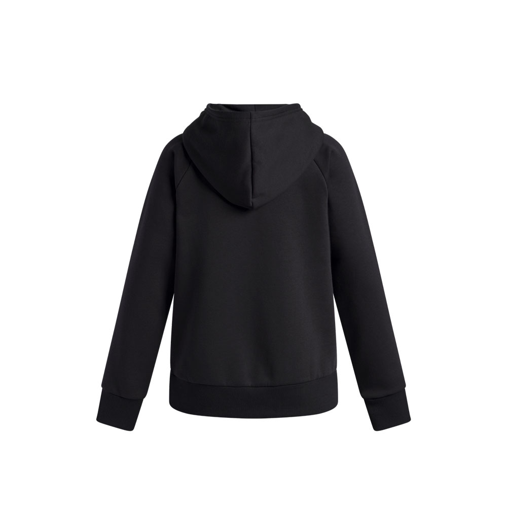 Under Armour Rival Flc Shimmer Hdy image number null