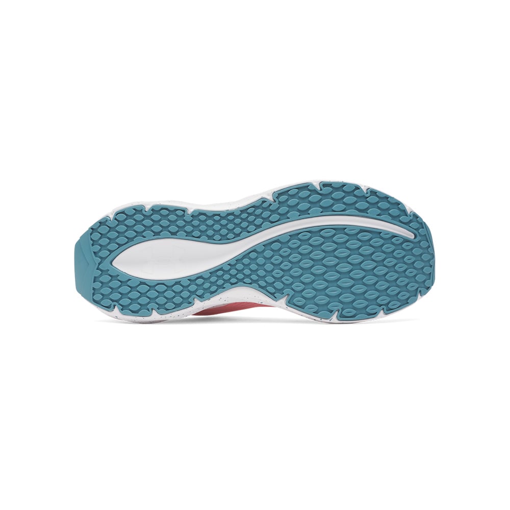 Under Armour W Ascend MULTICOLOR 