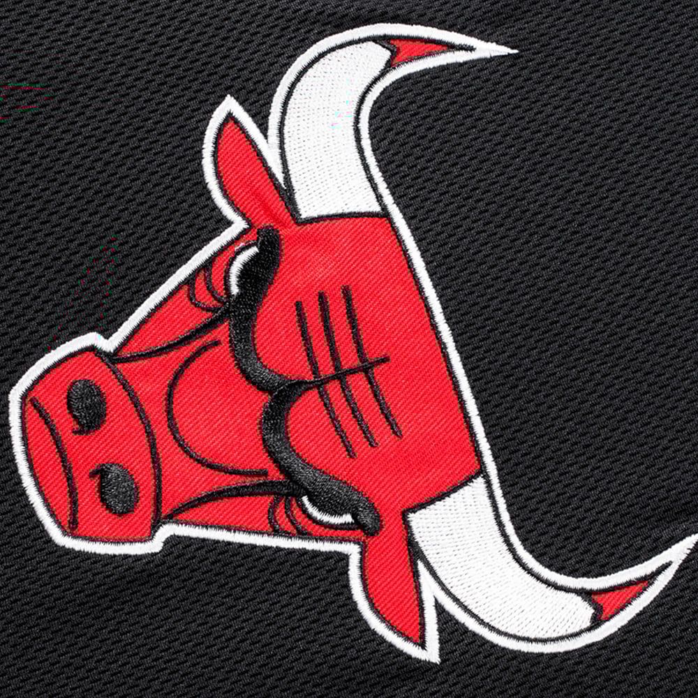 Fexpro Nba Short Arc Wordmark image number null