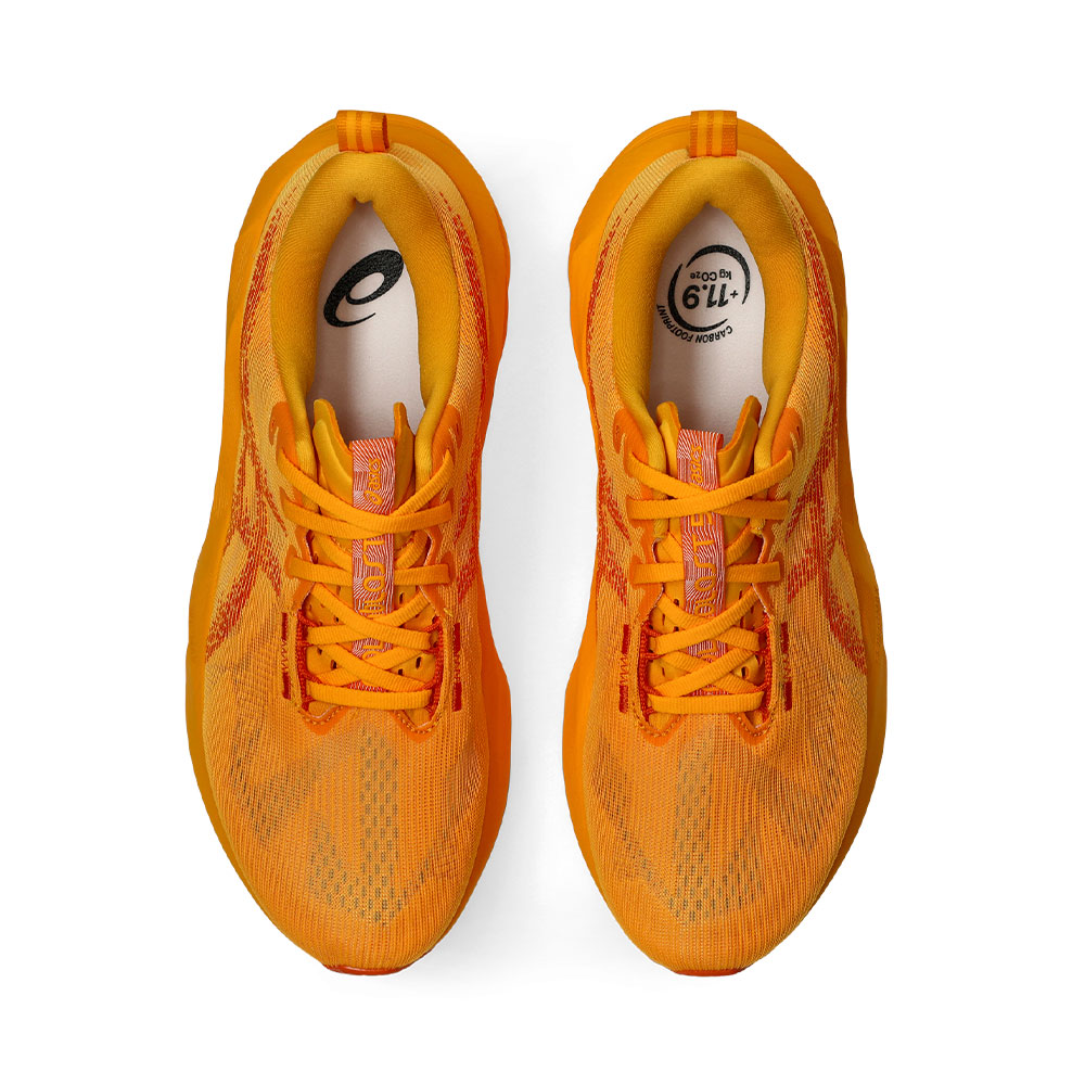 Asics Novablast 5 MULTICOLOR 