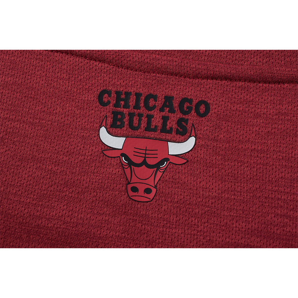 Fexpro Jersey Chicago Bulls image number null