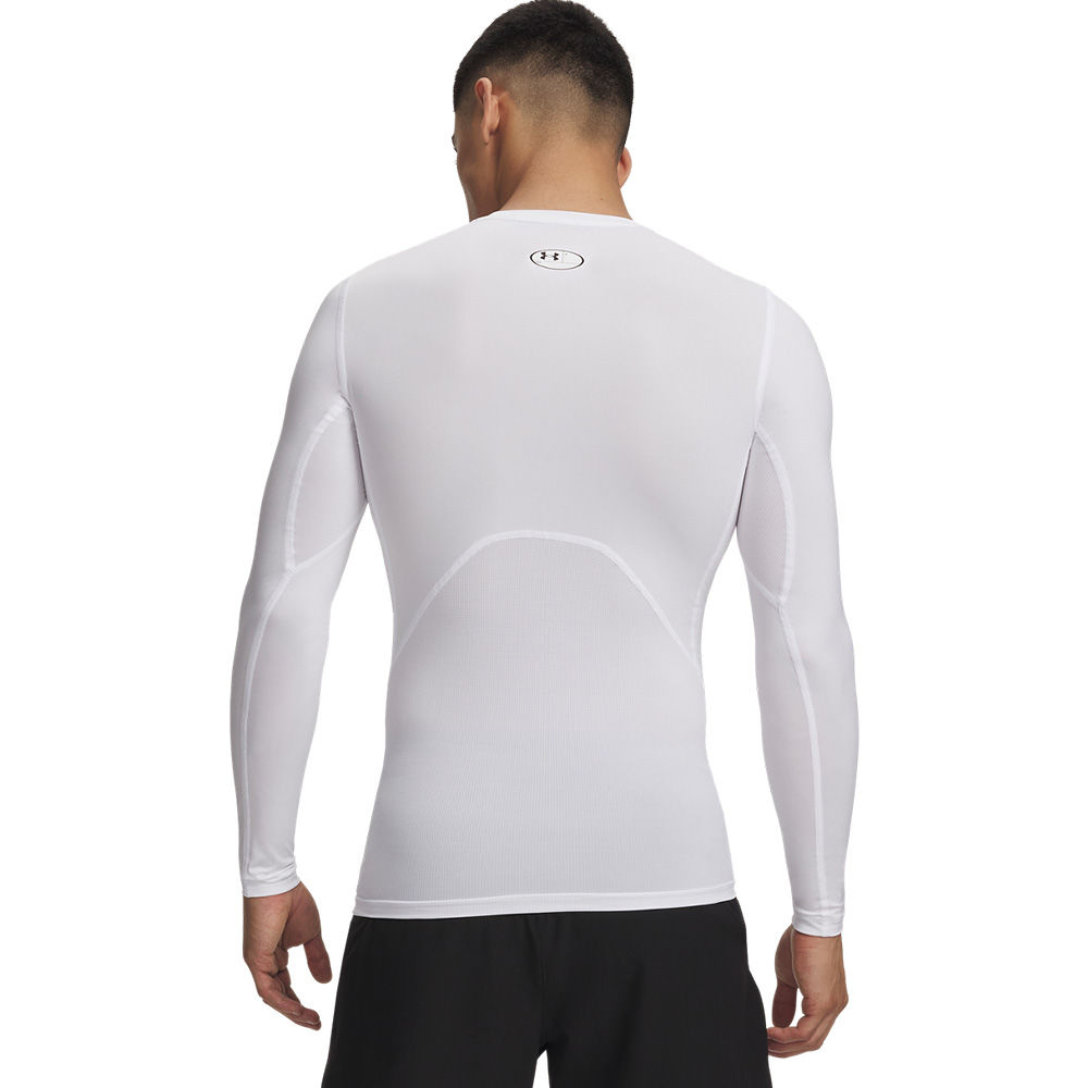 Under Armour Hg Armour Comp Ls MULTICOLOR 
