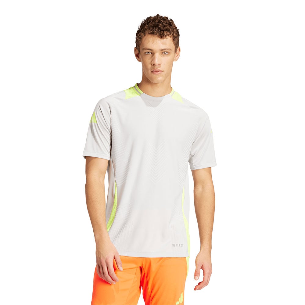Adidas Jersey De Entrenamiento Tiro 24 Pro GRIS 