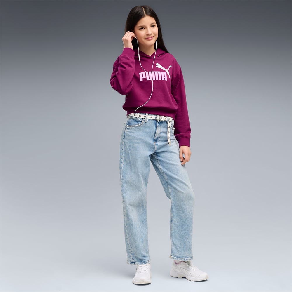 Puma Ess 2 Color No 1 Logo Short Length Hoodie Tr G image number null