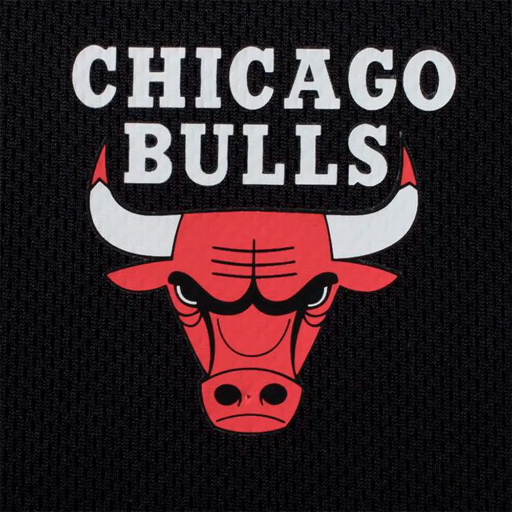 Fexpro Jersey Chicago Bulls image number null