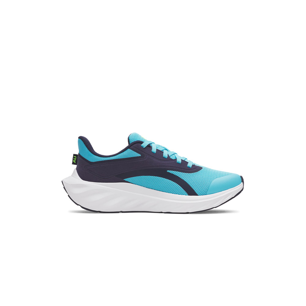 Under Armour Bgs Ascend image number null