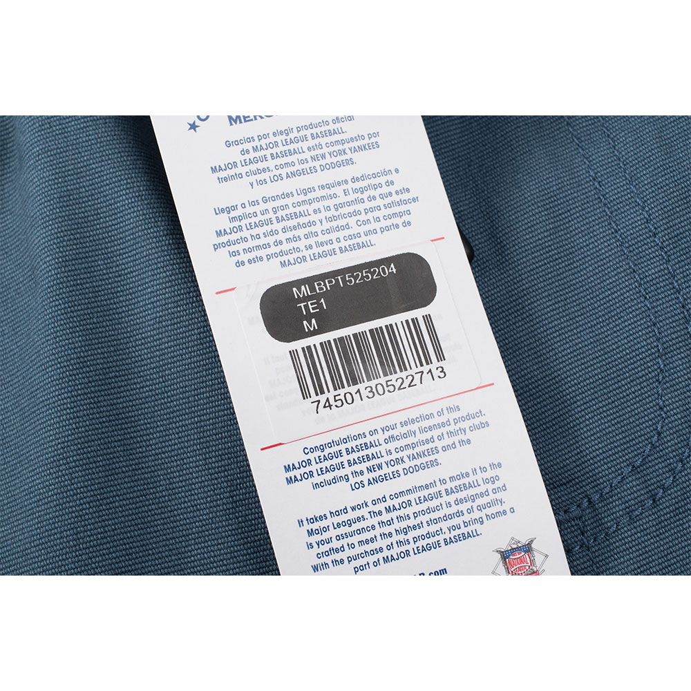 Fexpro Longpant New York Yankees image number null