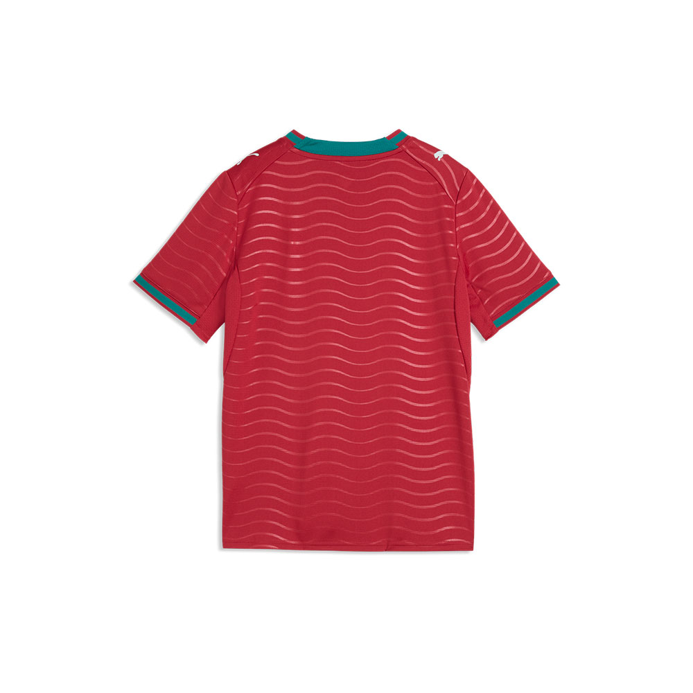 Puma Fpf Home Jersey Replica Jr image number null