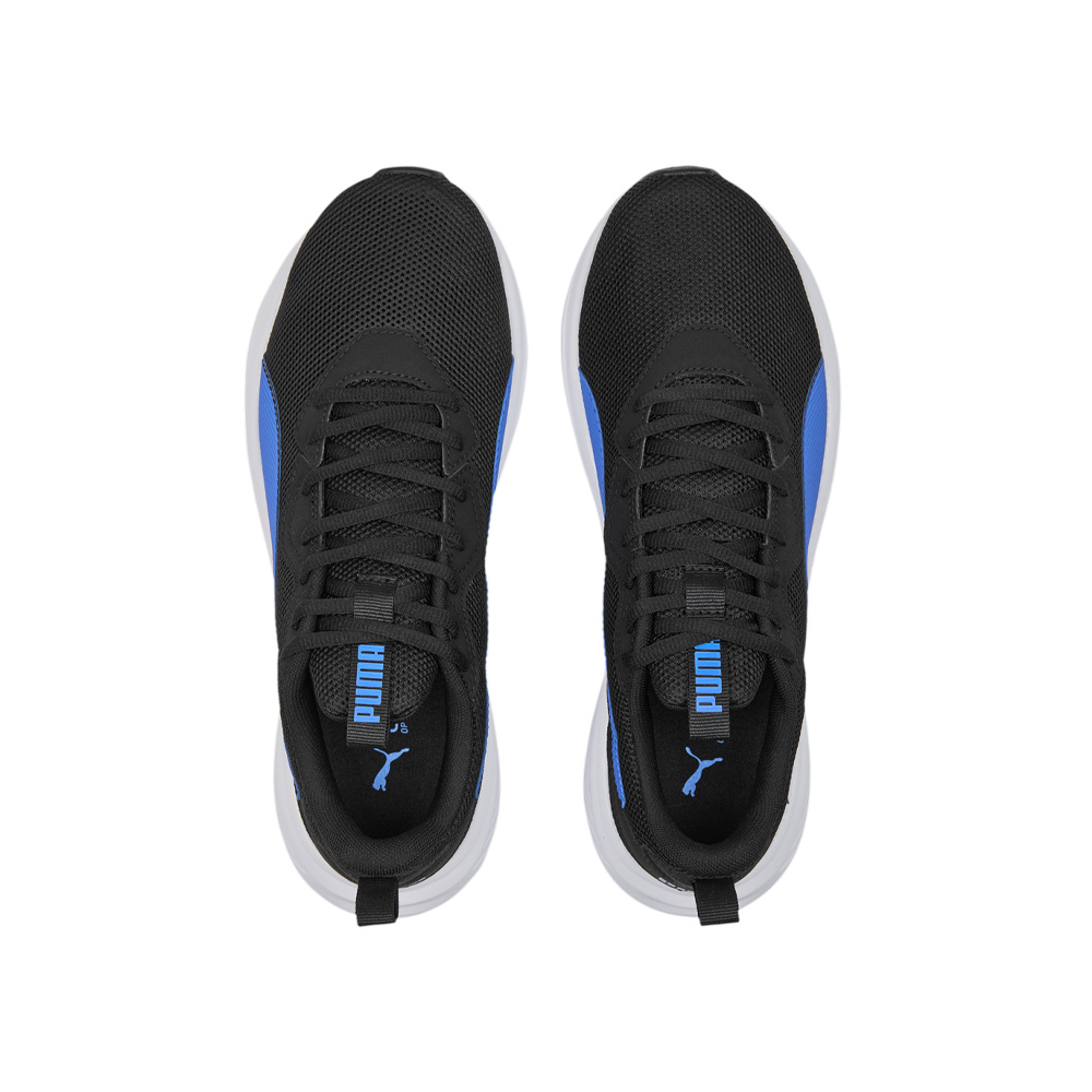 Puma Incinerate image number null