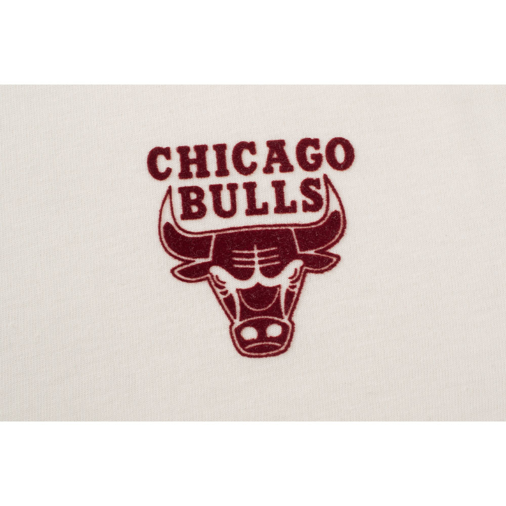 Fexpro Tshirt Chicago Bulls image number null