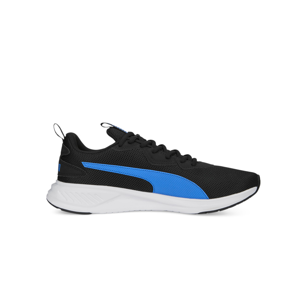 Puma Incinerate image number null