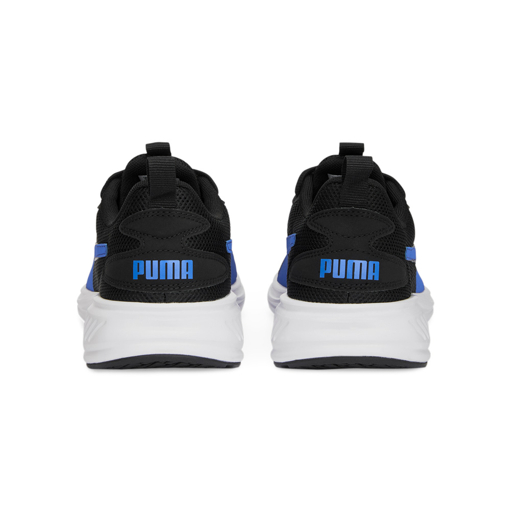 Puma Incinerate image number null